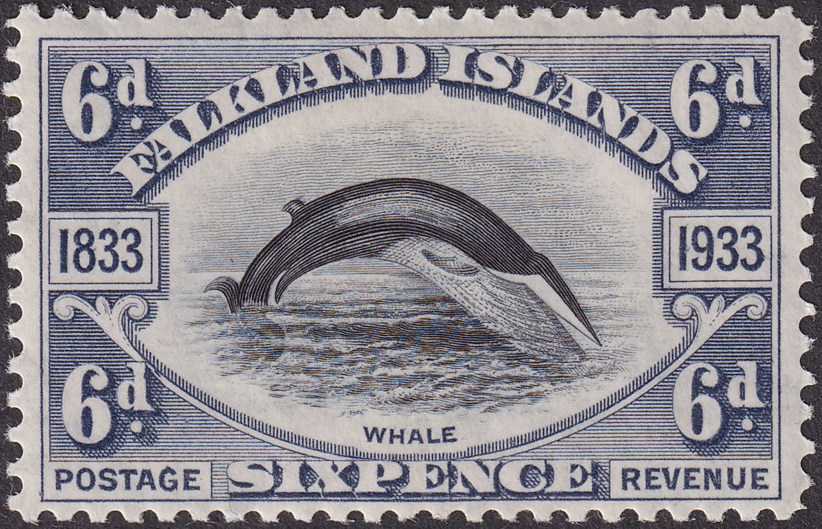Falkland Islands 1933 KGV Centenary Fin Whale 6d Black + Slate Mint SG133 cat£80
