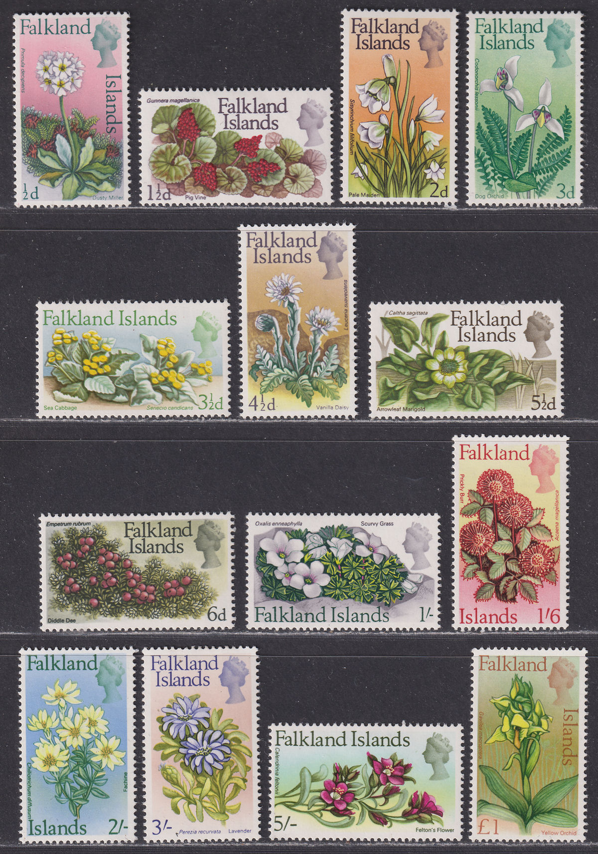 Falkland Islands 1968 QEII Flowers Set Mint SG232-245 cat £75