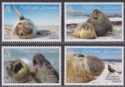 Click for more photos and details Falkland Islands 2008 QEII Southern Elephant Seals Set UM Mint SG1092-1095
