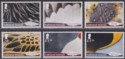 Click for more photos and details Falkland Islands 2019 QEII Feathers of Local Birds Set UM Mint SG1434-1439