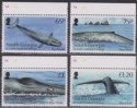 Click for more photos and details South Georgia + Sth Sandwich Is 2012 Blue Whale Set Mint SG566-569 cat £18