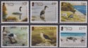 Falkland Islands 2020 QEII Bird Paintings by Mike Peake Set UM Mint SG1459-1464