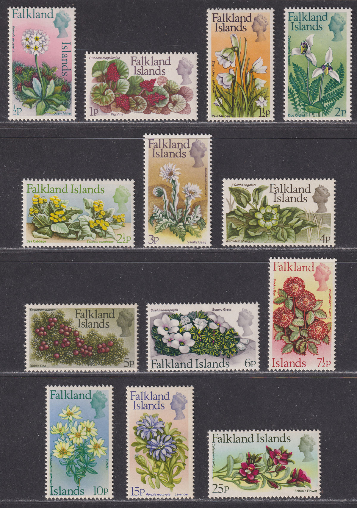 Falkland Islands 1972 QEII Flowers Decimal Set Mint SG276-288 cat £40