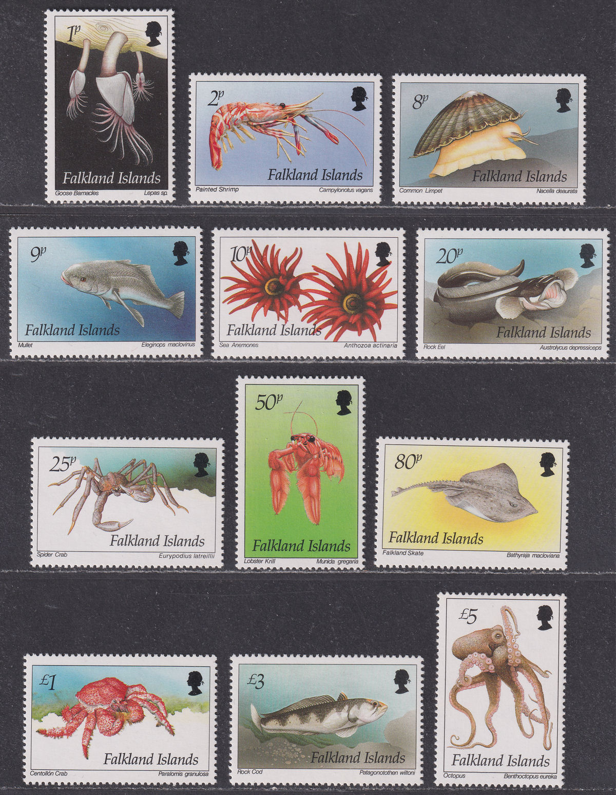 Falkland Islands 1994 QEII Marine Life Set Mint SG701-712 cat £50
