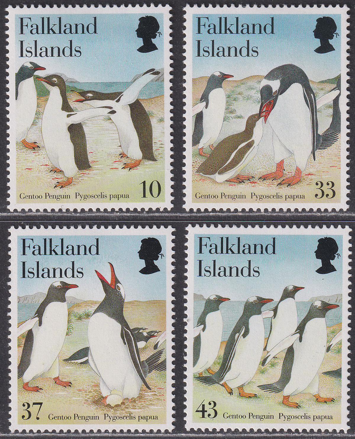 Falkland Islands 2001 QEII Gentoo Penguins Set Mint SG913-916 cat £6.50