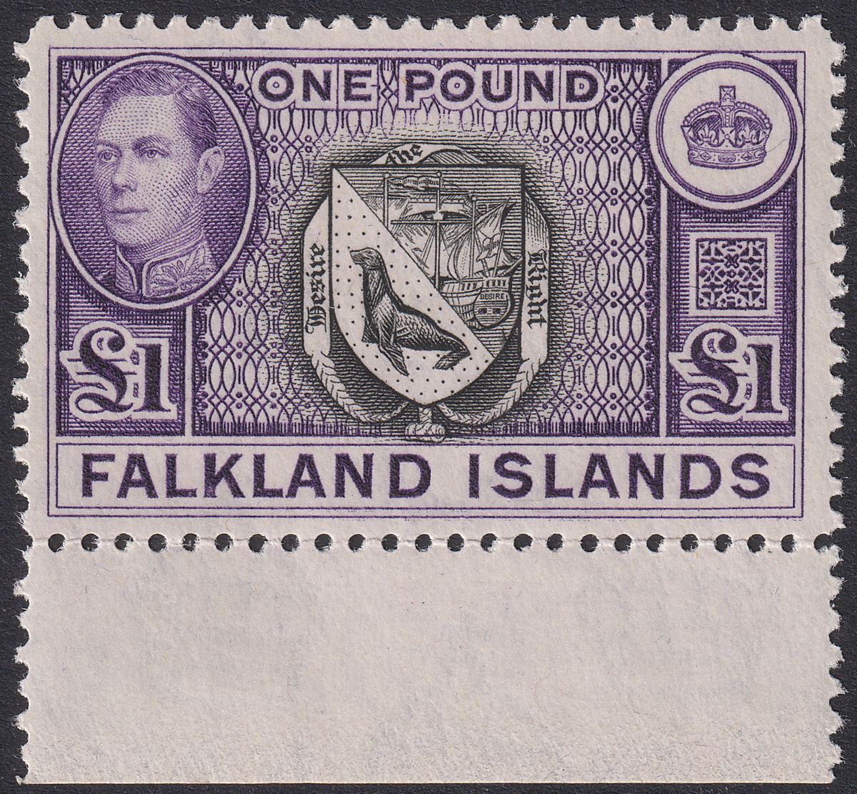 Falkland Islands 1944 KGVI £1 Grey-Black + Bluish Violet Mint SG163 cat £140