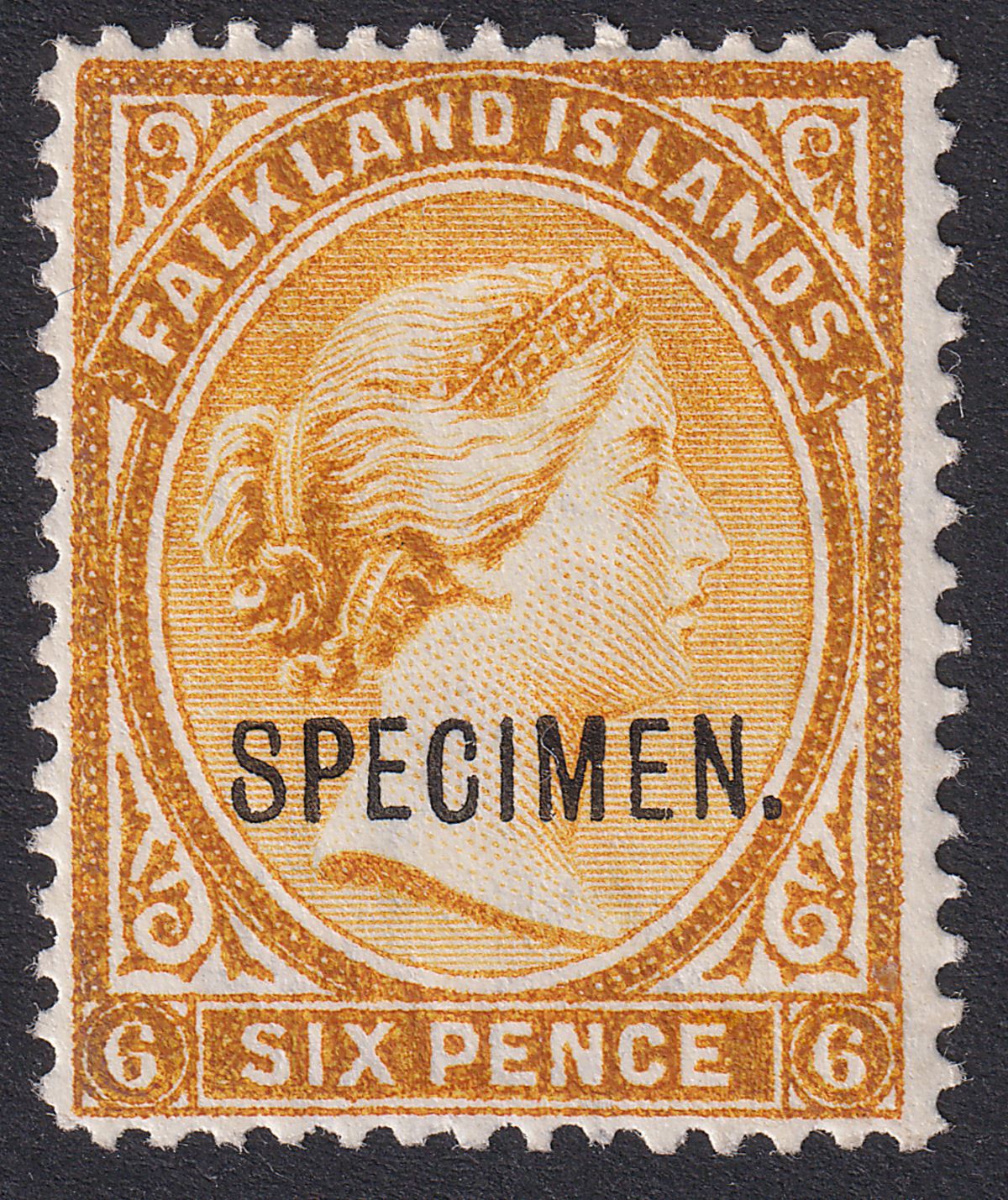 Falkland Islands 1891 QV SPECIMEN Overprint 6d Orange-Yellow Mint SG33s