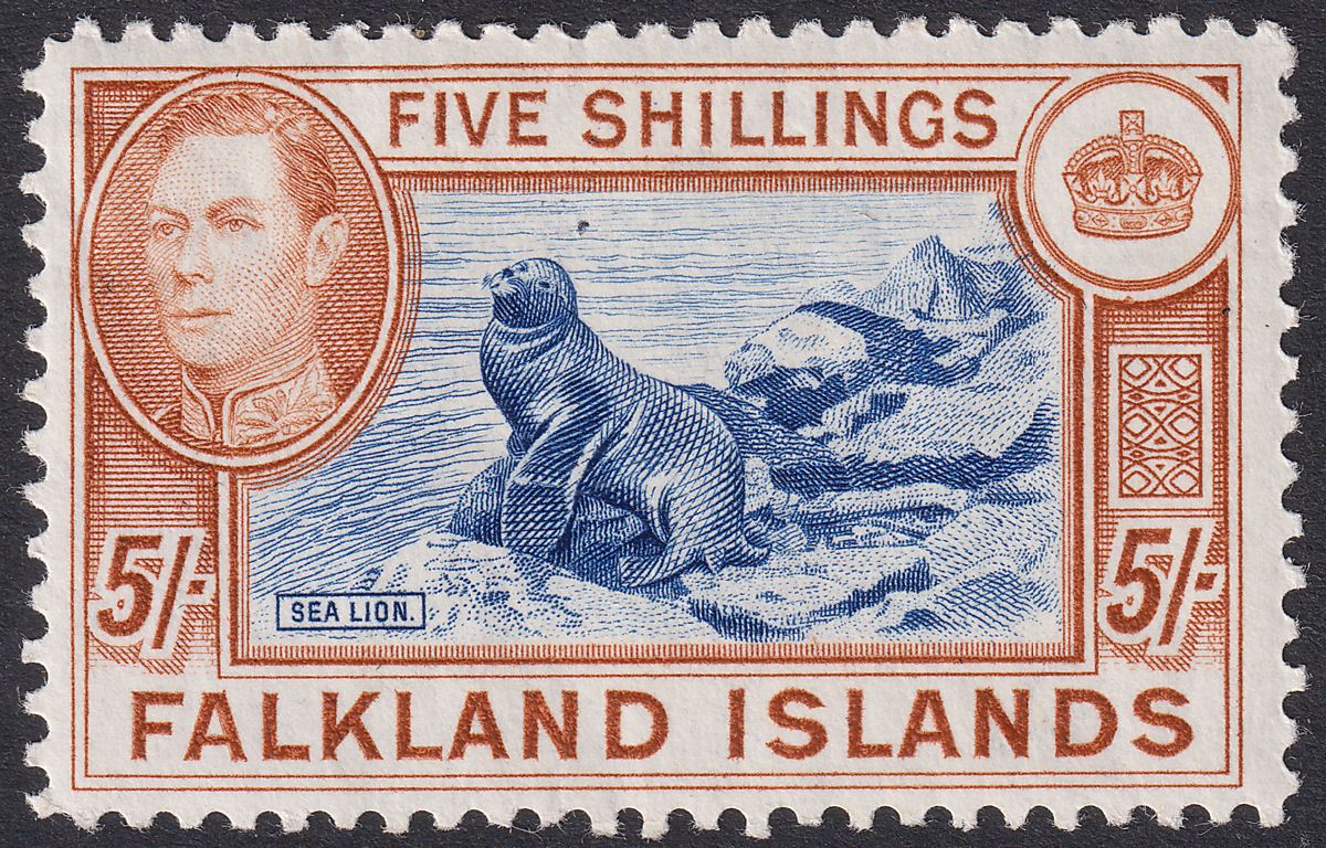 Falkland Islands 1938 KGVI 5sh Indigo + Pale Yellow-Brown Mint SG161b cat £1100
