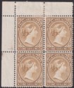 Click for more photos and details Falkland Islands 1896 QV 1sh Yellow-Brown Corner Block Flat O Variety Mint SG38