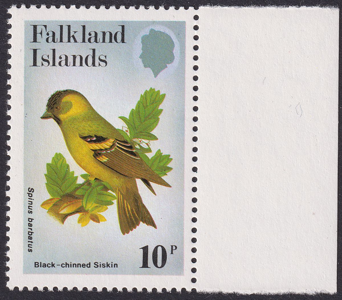 Falkland Islands 1982 QEII Passerines 10p watermark Upright UM Mint SG434w c£40