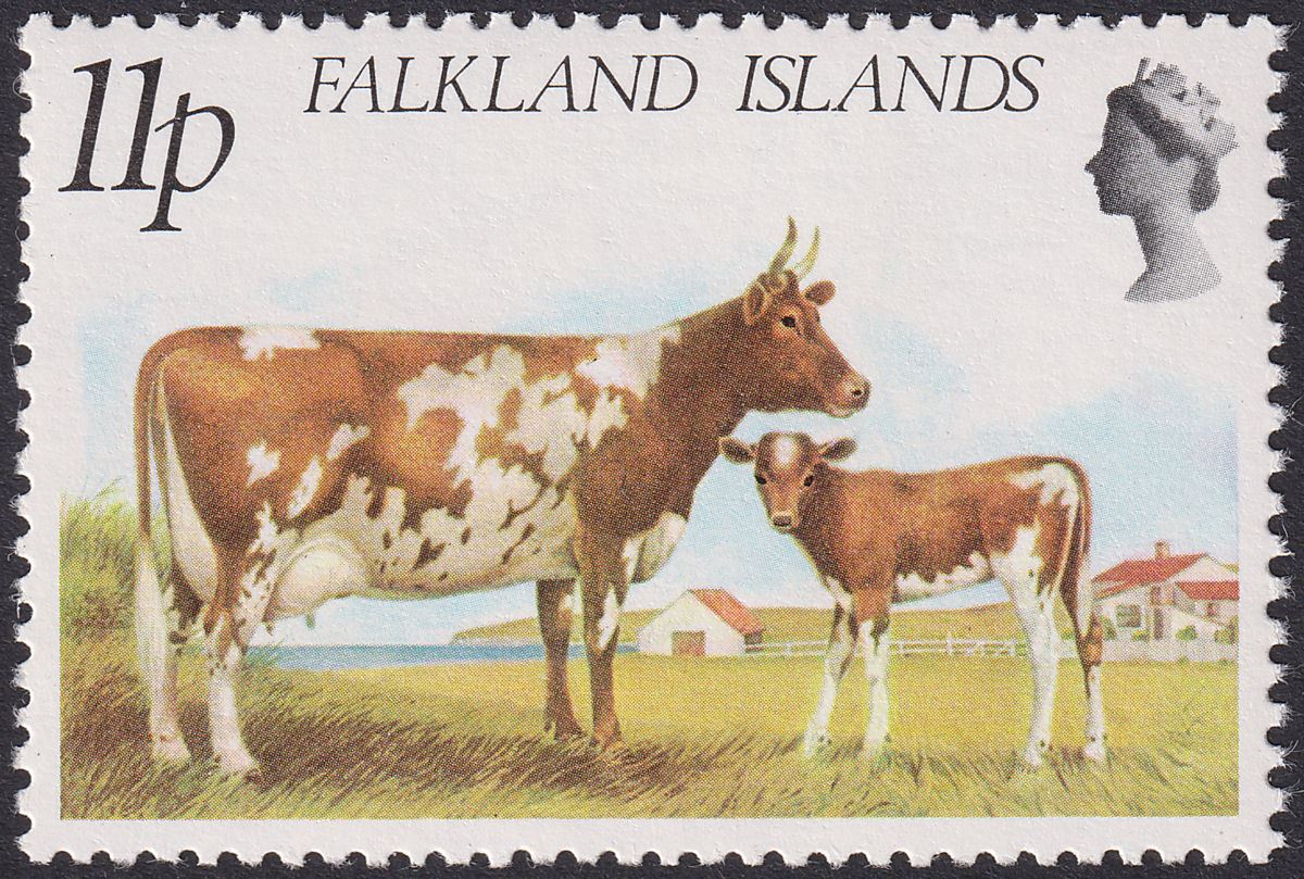 Falkland Islands 1981 QEII Farm Animals Cattle 11p wmk Inverted SG393w cat £250