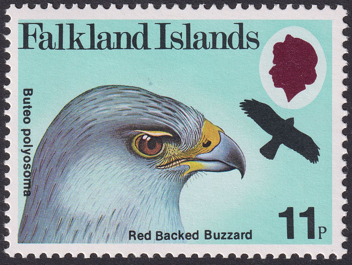 Falkland Islands 1980 QEII Birds of Prey 11p watermark Inverted SG385w cat £180