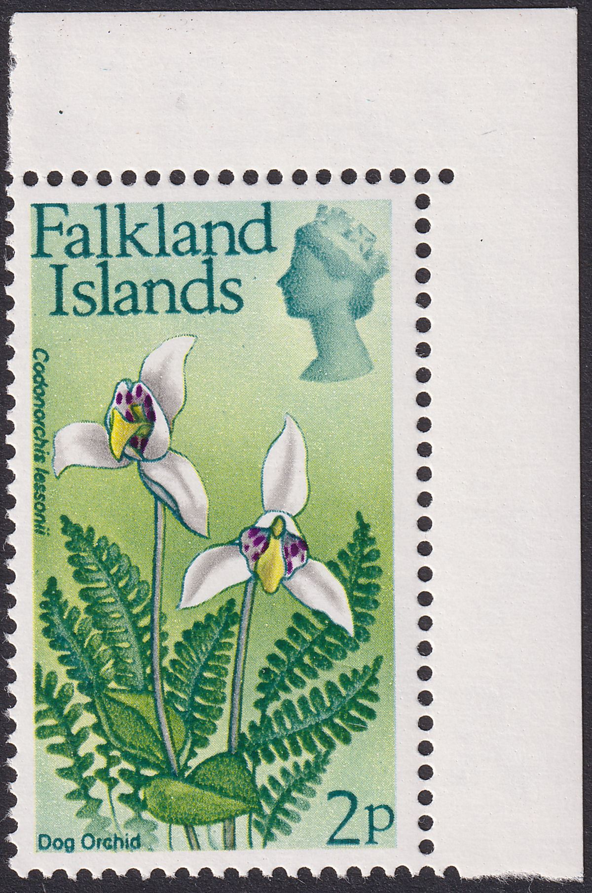 Falkland Islands 1974 QEII Flowers 2p wmk Upright Corner Marg Mint SG294 cat £28