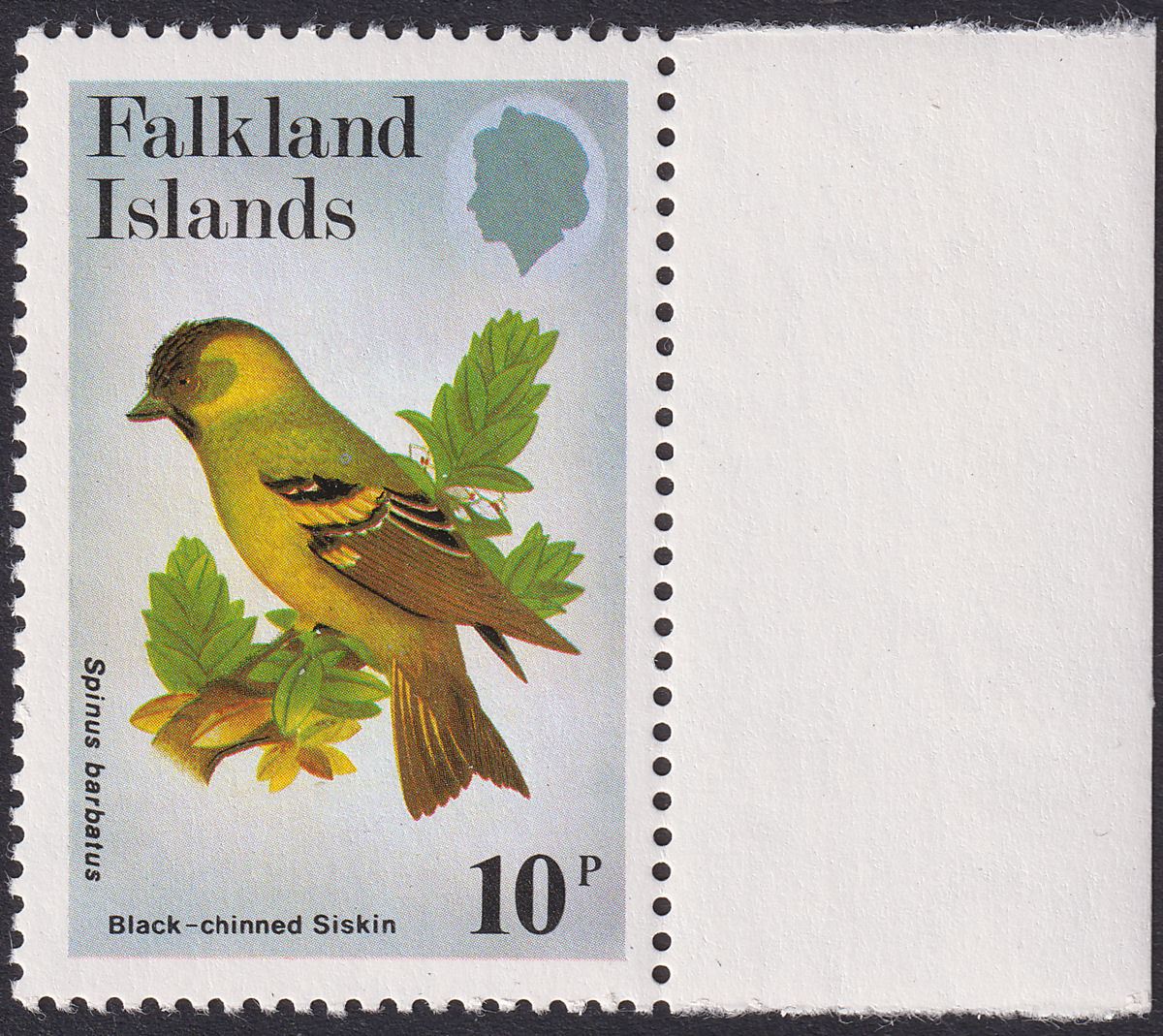Falkland Islands 1982 QEII Passerines 10p watermark Upright Mint SG434w cat £40