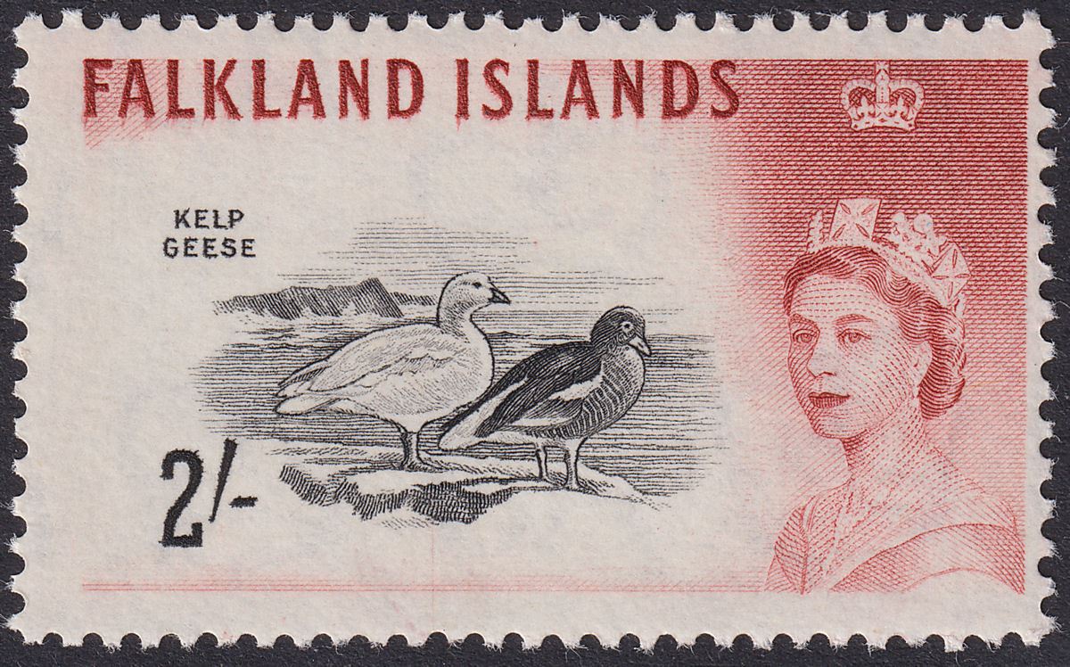 Falkland Islands 1966 QEII Birds 2sh Black + Lake-Brown DLR Mint SG204a cat £250