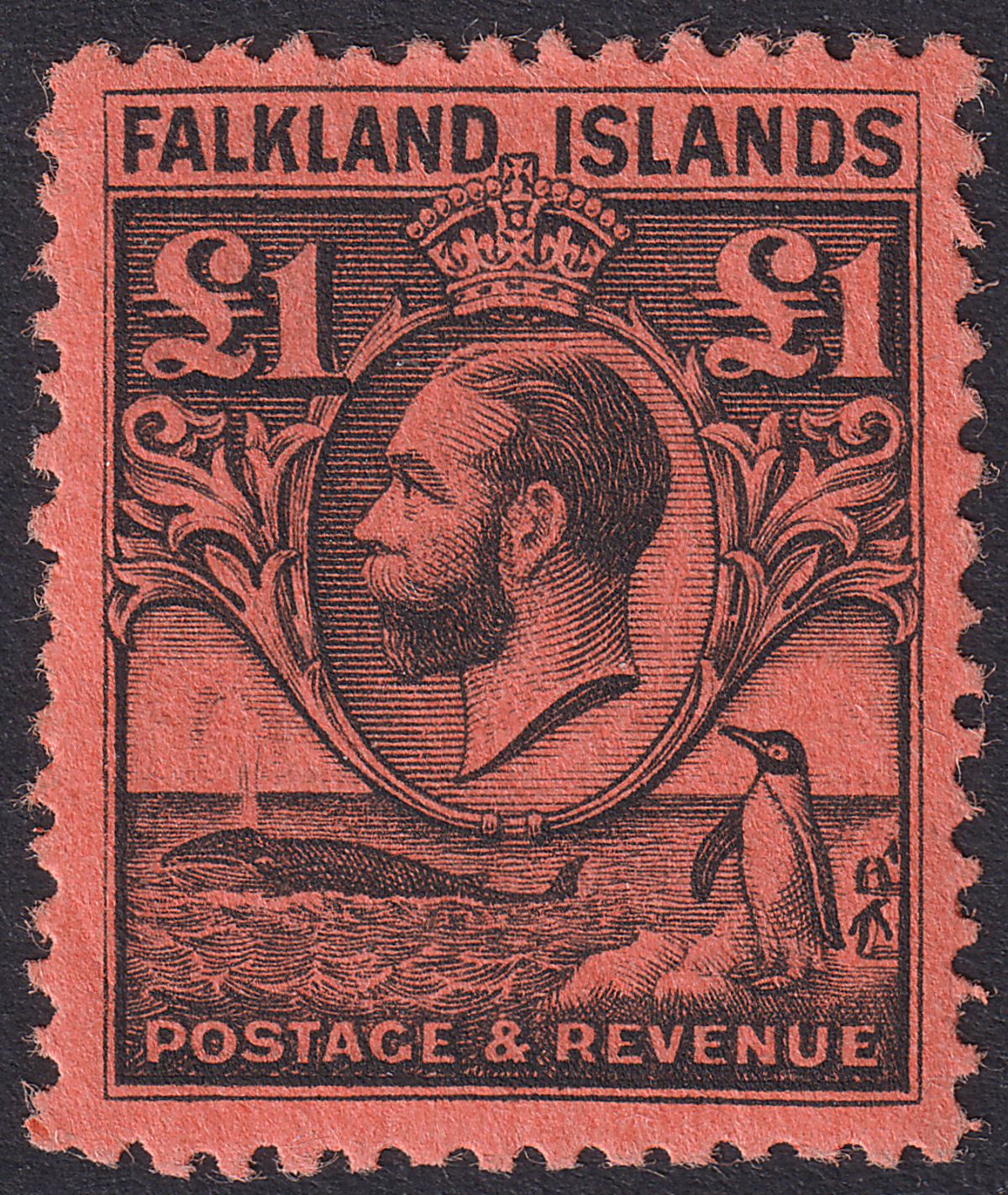 Falkland Islands 1929 KGV Whale and Penguins £1 Black on Red Mint SG126 cat £350