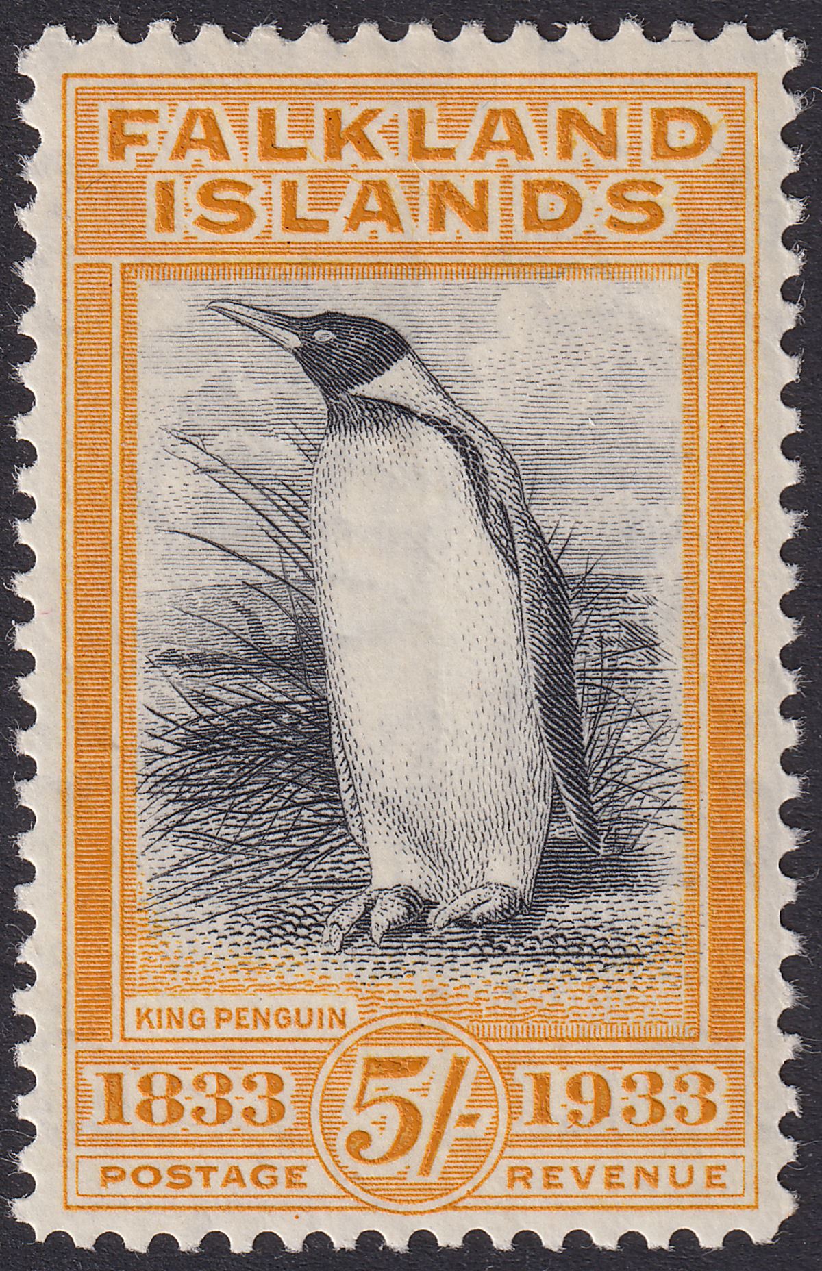 Falkland Islands 1933 KGV Centenary 5sh Blk + Yellow-Orange Mint SG136a cat£3250