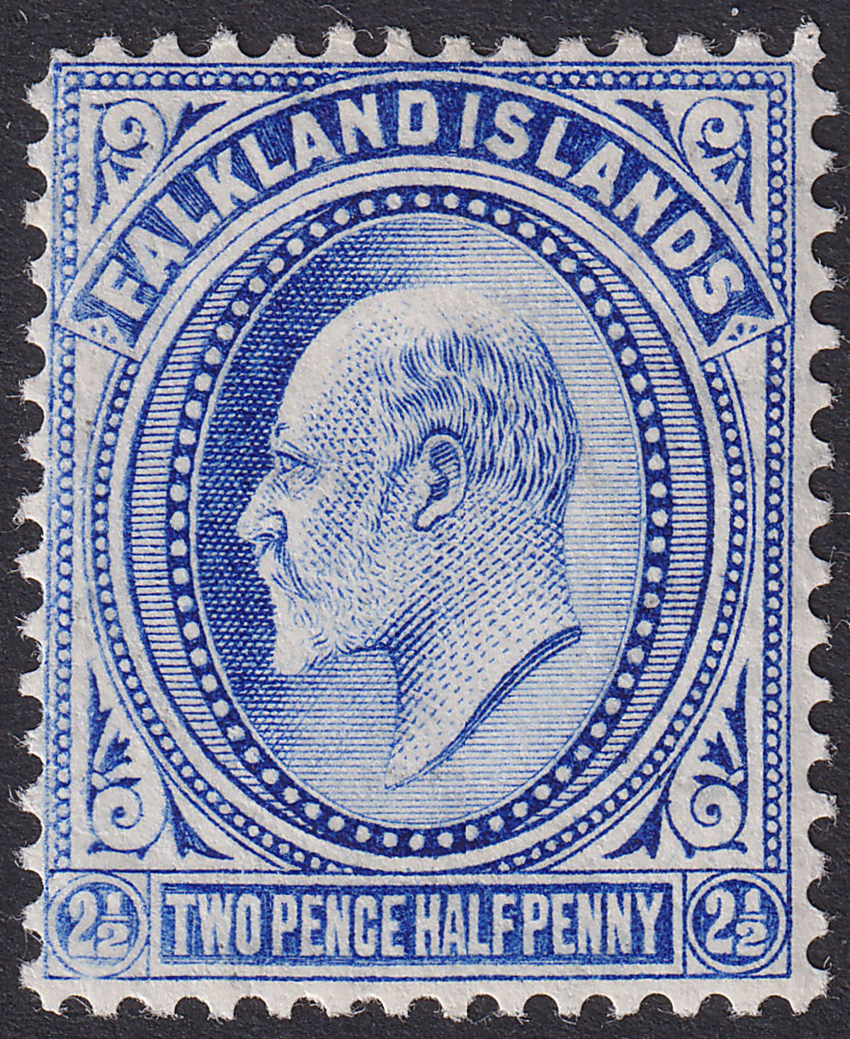 Falkland Islands 1904 KEVII 2½d Ultramarine Mint SG46 cat £30