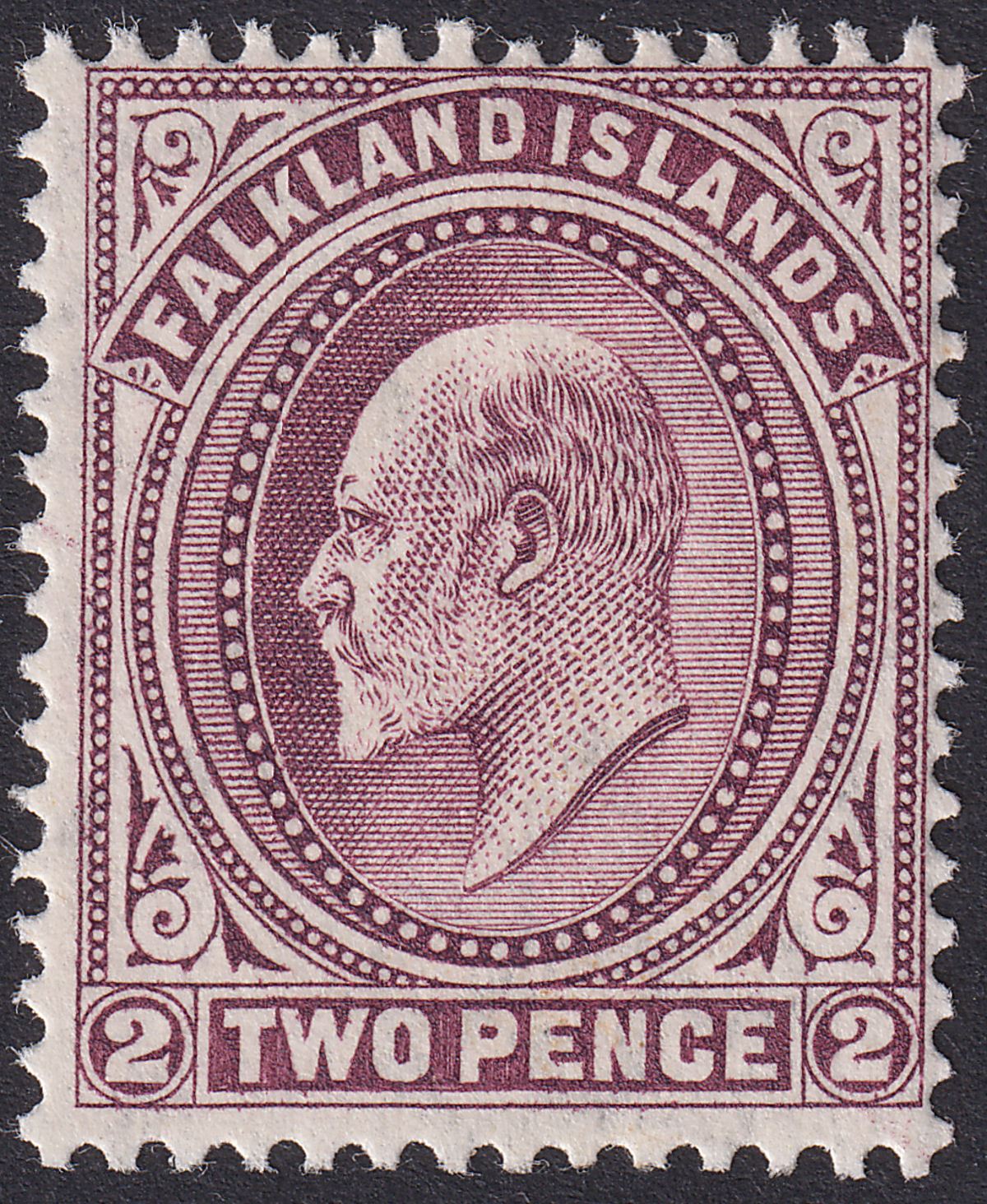 Falkland Islands 1904 KEVII 2d Purple Mint SG45 cat £25
