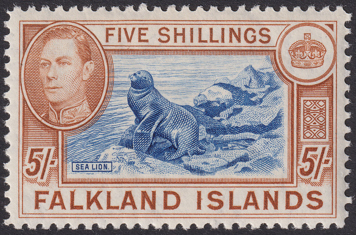 Falkland Islands 1949 KGVI 5sh Dull Blue + Yellow-Brown UM Mint SG161c cat £140