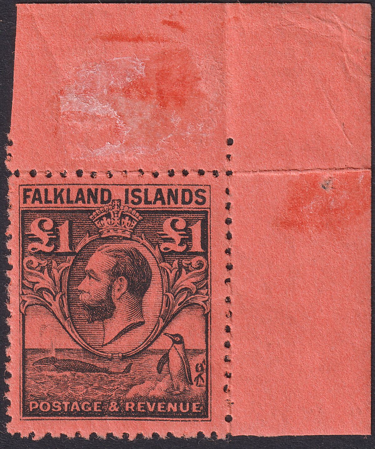 Falkland Islands 1929 KGV Whale and Penguins £1 Black on Red Mint SG126 cat £350