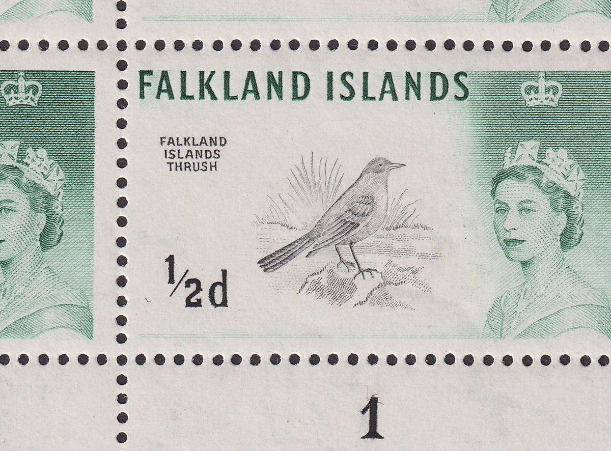 Falkland Islands 1966 QEII Birds ½d Weak Entry + Sub Cliche Mint SG227a c£38++
