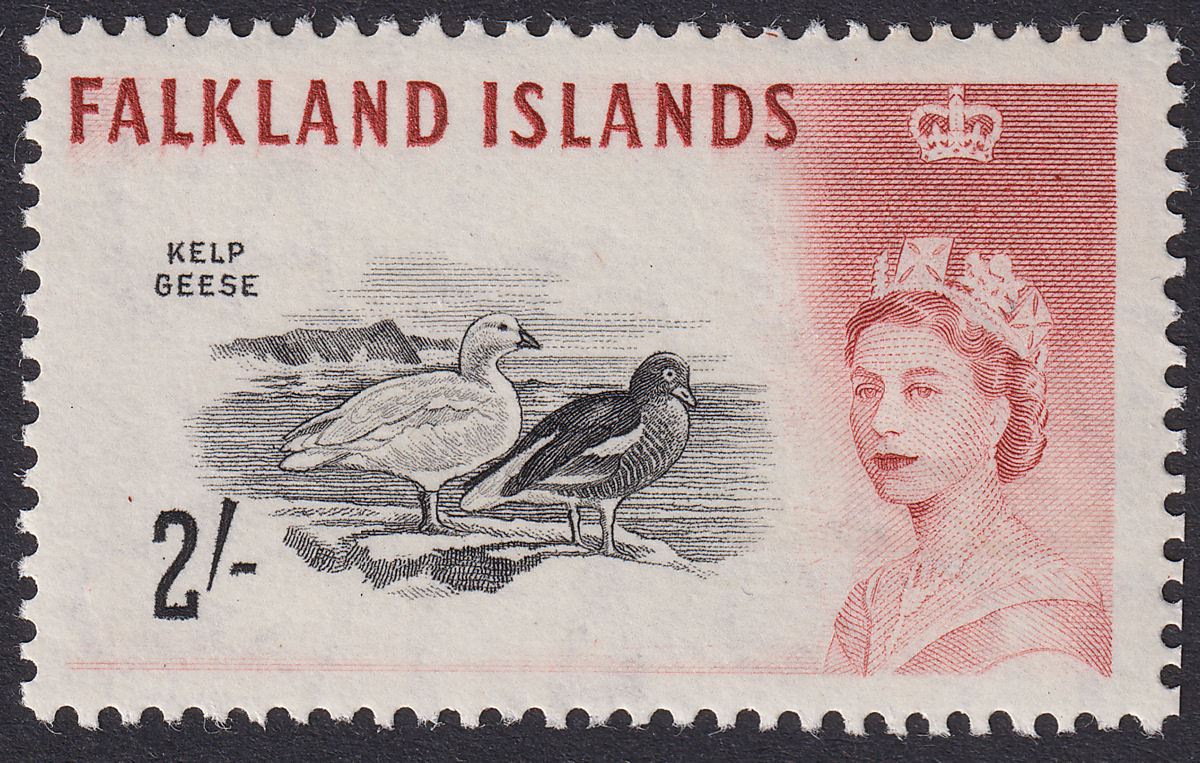 Falkland Islands 1966 QEII Birds 2sh Weak Entry DLR Mint SG204ab cat £750