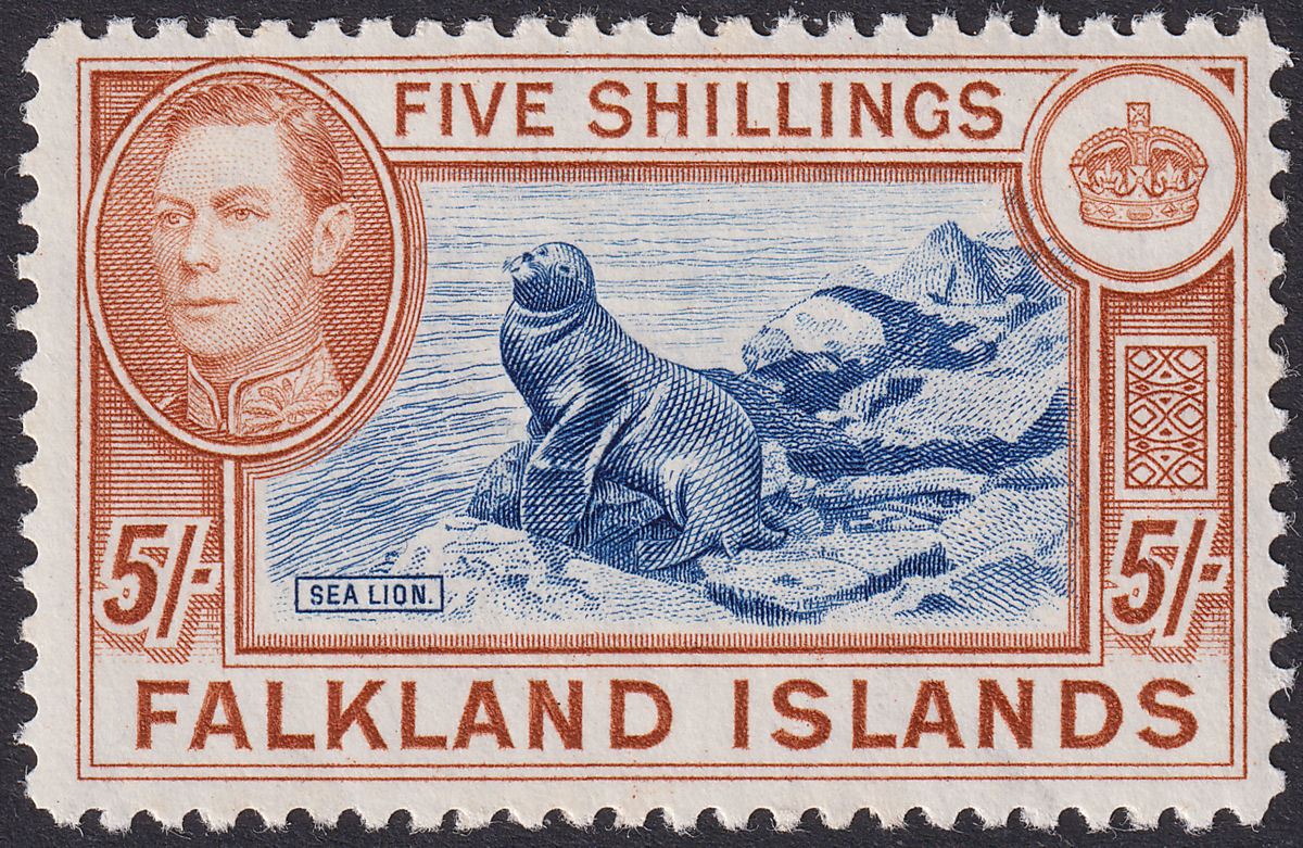 Falkland Islands 1938 KGVI 5sh Indigo + Yellow-Brown UM Mint SG161b c£1100 cert