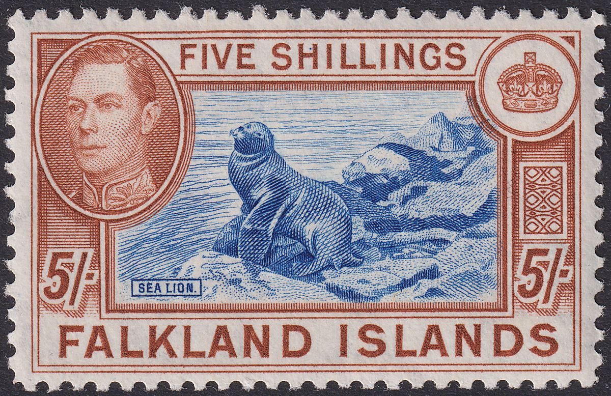 Falkland Islands 1950 KGVI 5sh Steel Blue and Brown-Buff UM Mint SG161d cat £425