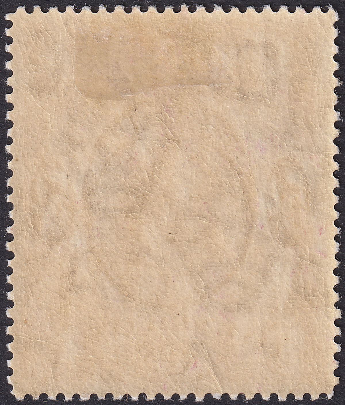 Falkland Islands 1914 KGV 5sh Reddish Maroon Mint SG67a cat £350