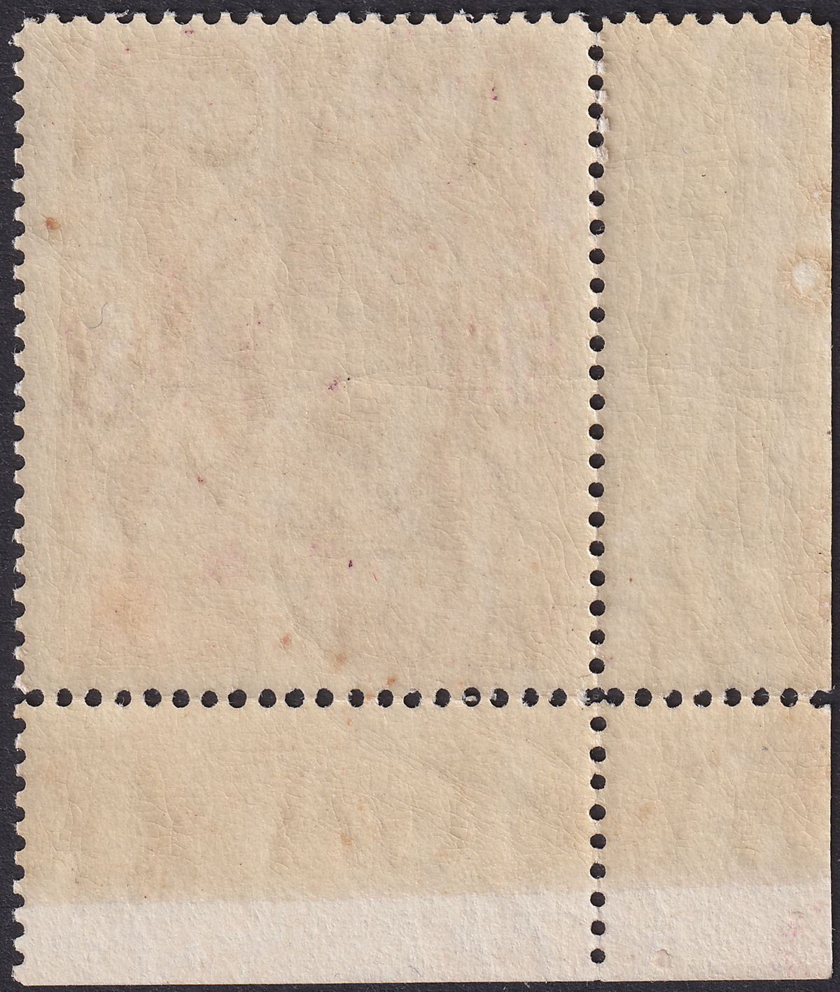 Falkland Islands 1916 KGV 5sh Maroon Corner Marginal UM Mint SG67b cat £140