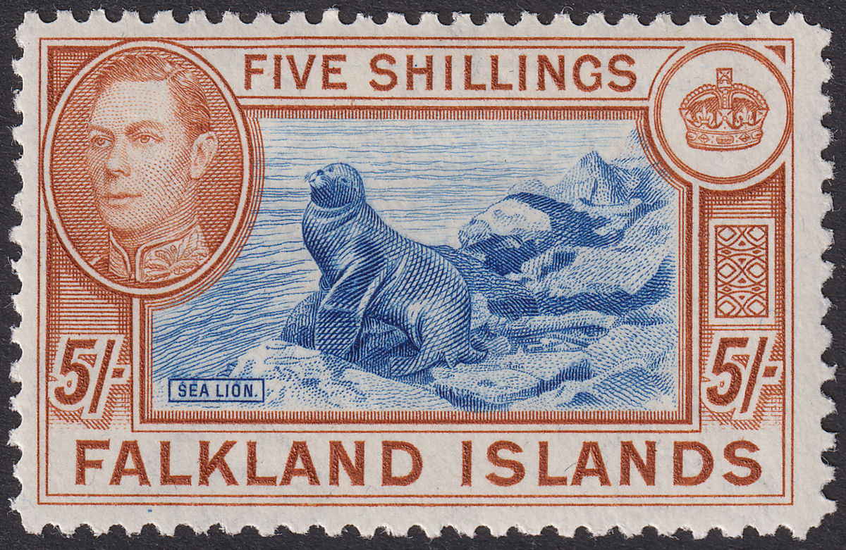 Falkland Islands 1949 KGVI 5sh Dull Blue and Yellow-Brown Mint SG161c cat £140
