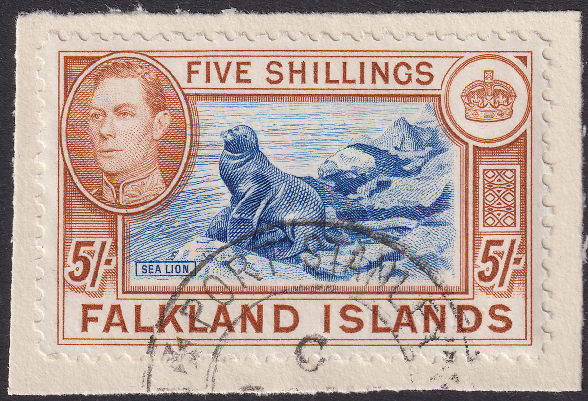 Falkland Islands 1938 KGVI 5sh Blue and Chestnut Used on Piece SG161 cat £95