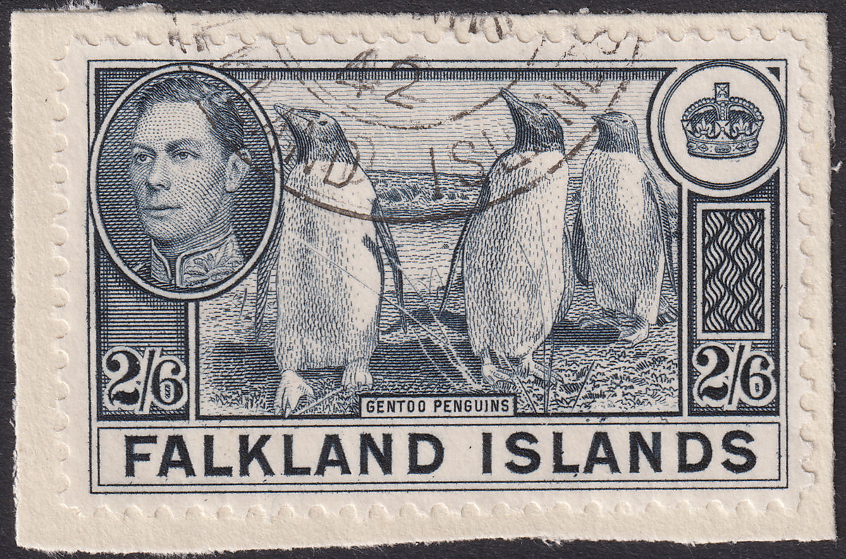 Falkland Islands 1938 KGVI Penguins 2sh6d Slate Used on Piece SG160 cat £25