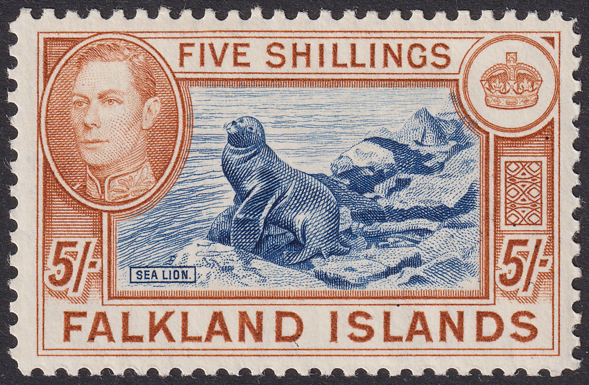 Falkland Islands 1938 KGVI 5sh Indigo and Pale Yellow-Brown Mint SG161b