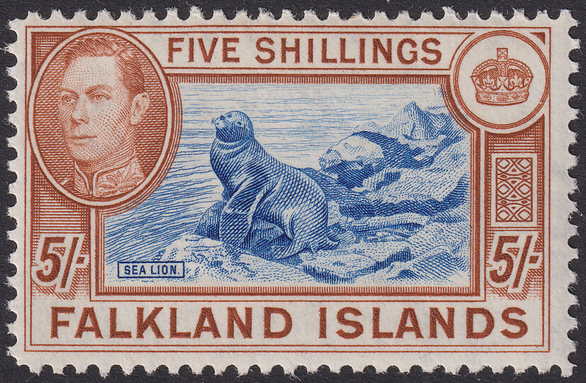 Falkland Islands 1950 KGVI 5sh Steel Blue and Brown-Buff Mint SG161d cat £425
