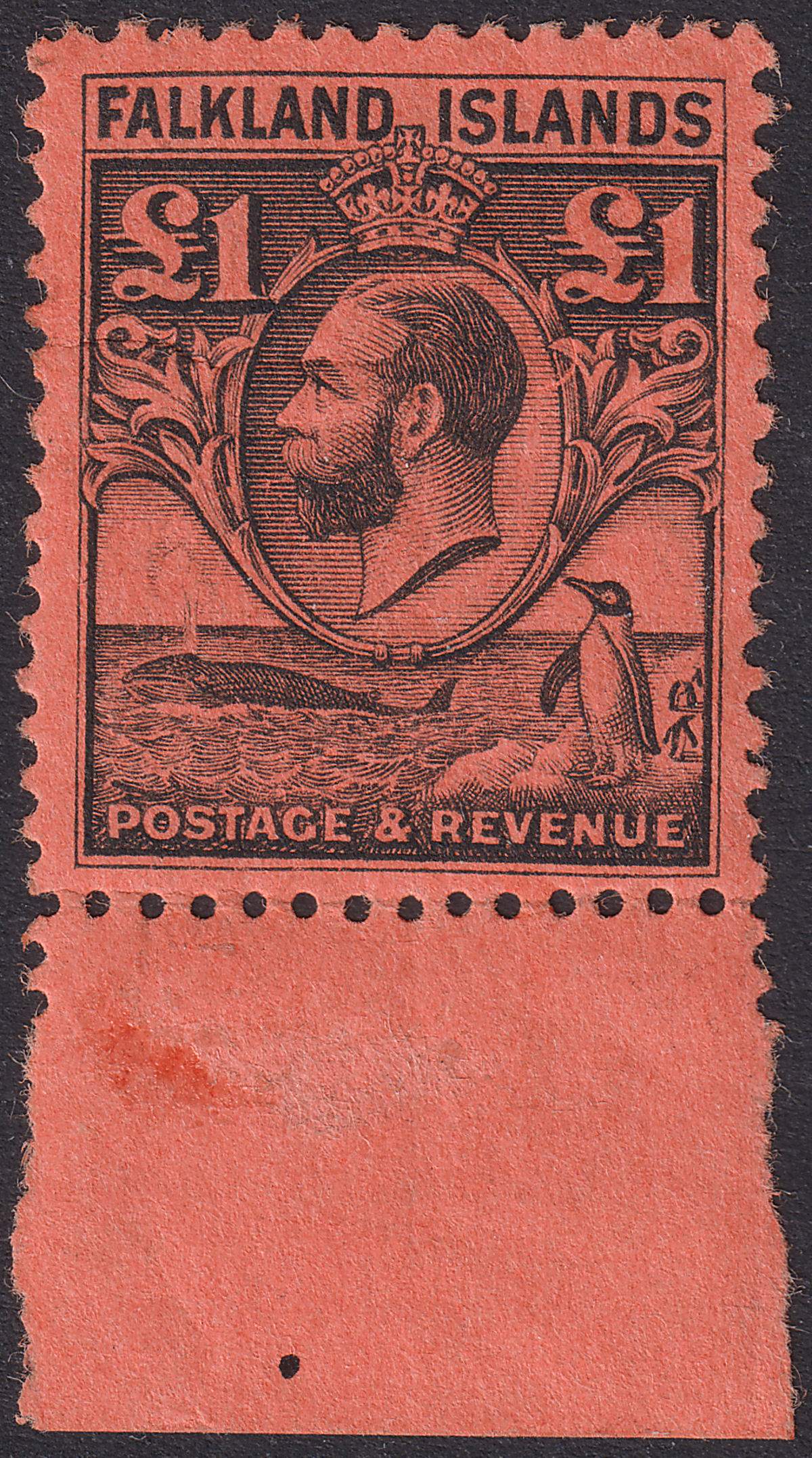 Falkland Islands 1929 KGV Whale and Penguins £1 Black on Red Mint SG126 cat £350