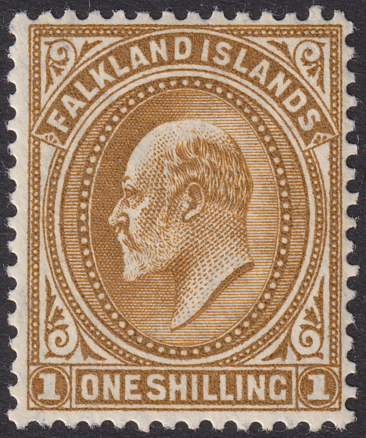 Falkland Islands 1904 KEVII 1sh Brown Mint SG48 cat £50