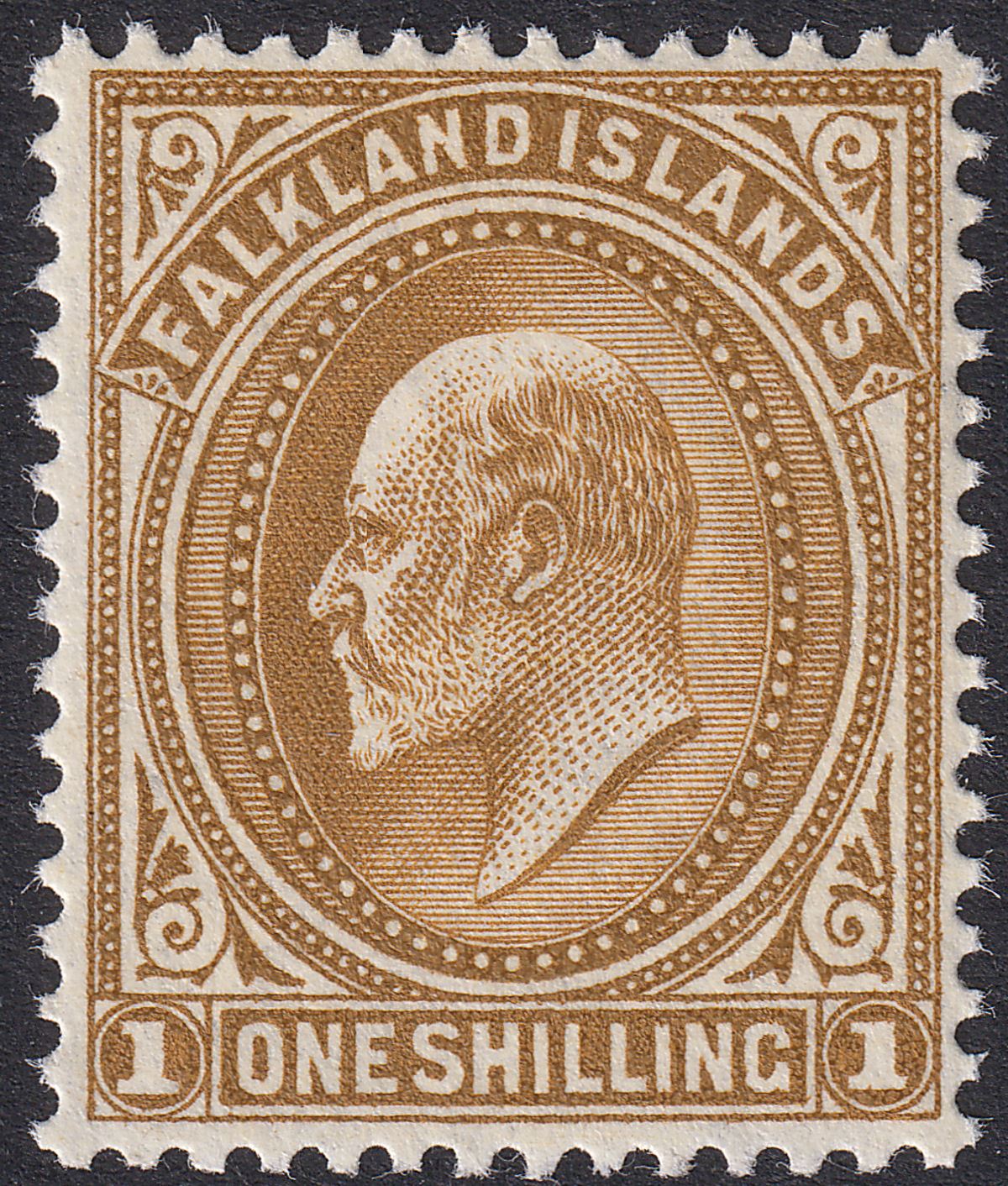 Falkland Islands 1904 KEVII 1sh Brown UM Mint SG48 cat £50