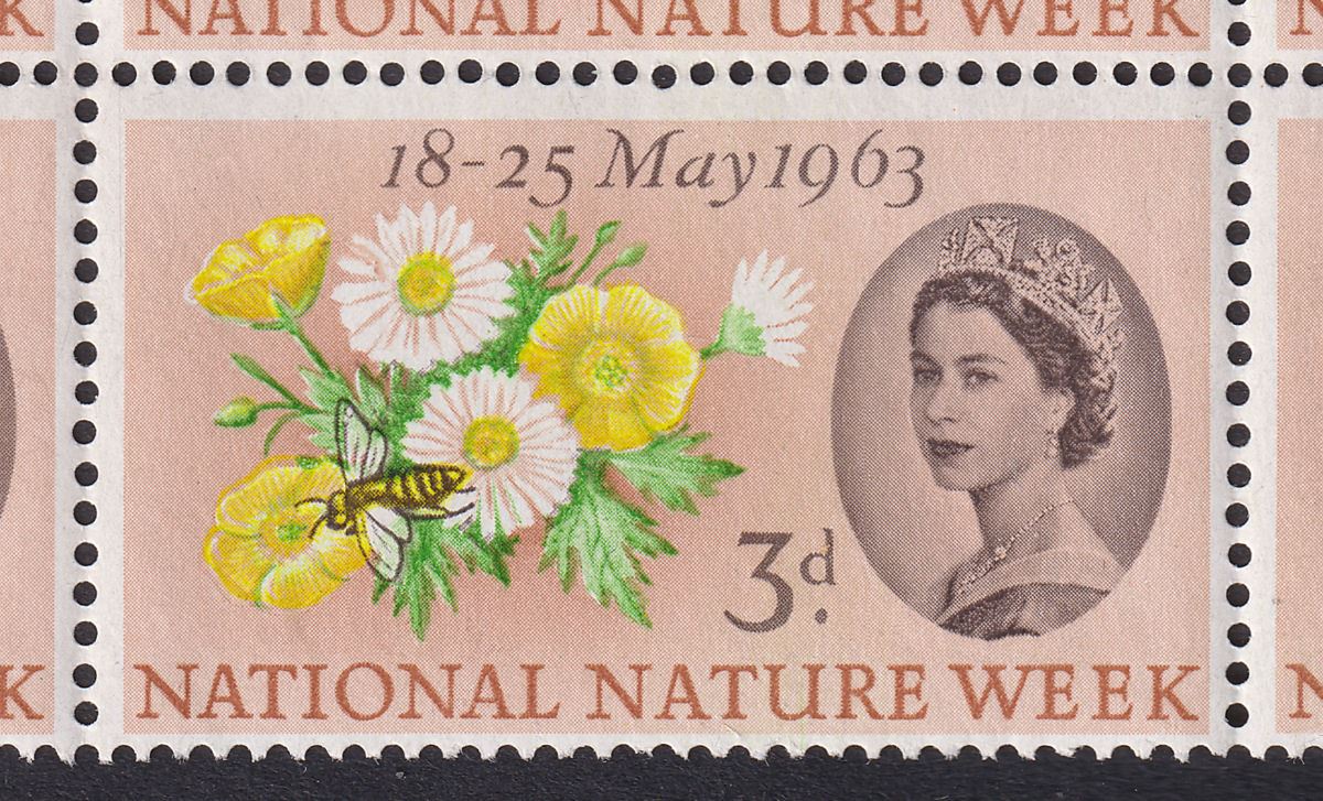 QEII 1963 Nature Week 3d with Caterpillar Flaw Block Mint SG637a cat £75 MNH