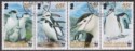 South Georgia + Sth Sandwich Is 2008 Chinstrap Penguins Set Used SG453a