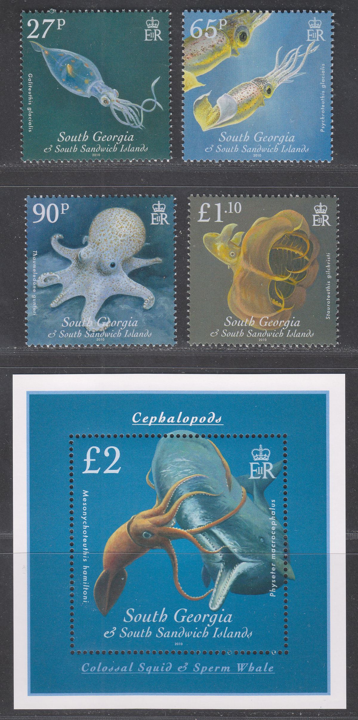 South Georgia + Sth Sandwich Is 2010 QEII Cephalopods Set + MS Mint SG487-MS491