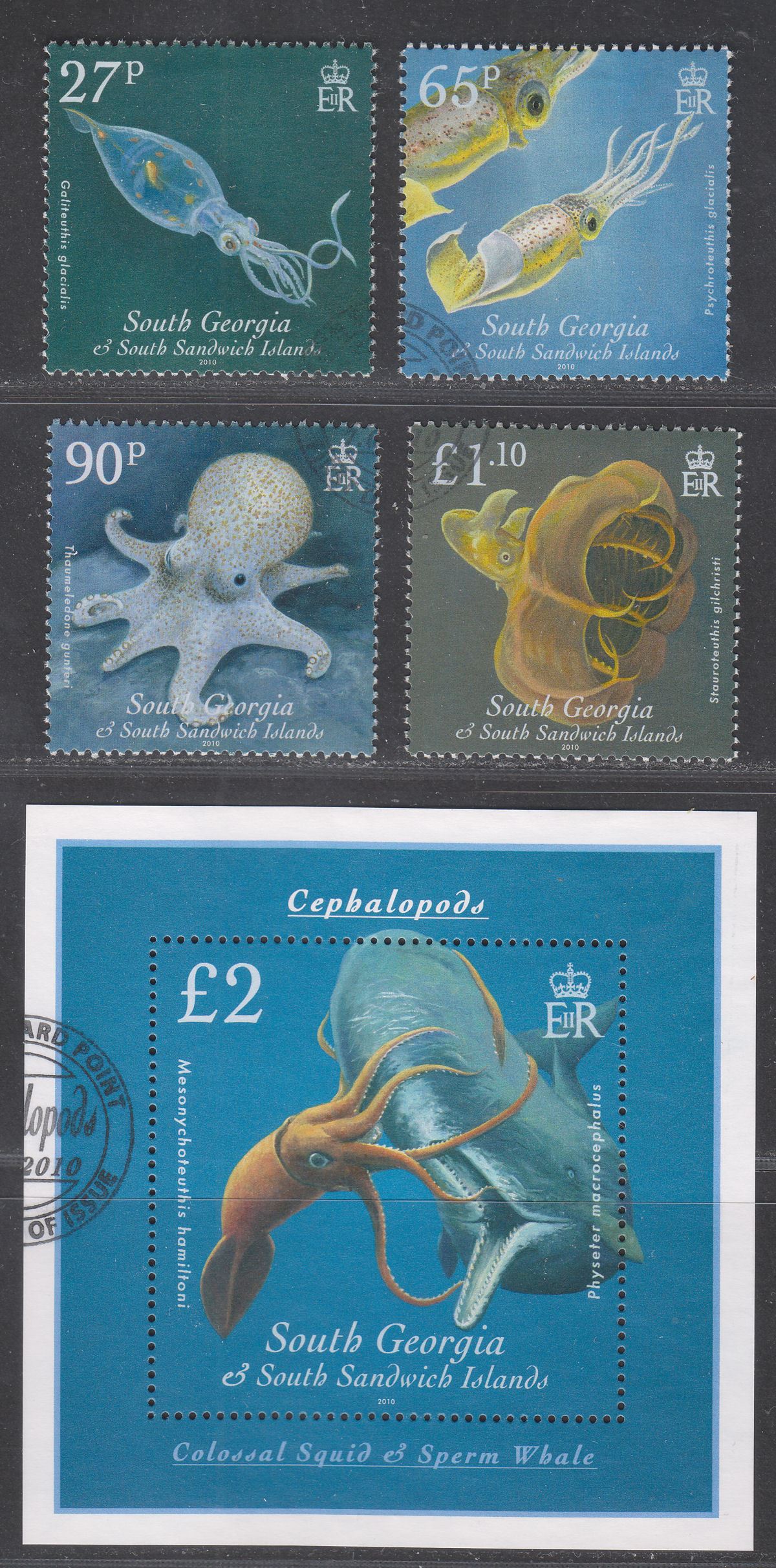 South Georgia + Sth Sandwich Is 2010 QEII Cephalopods Set + MS Used SG487-MS491