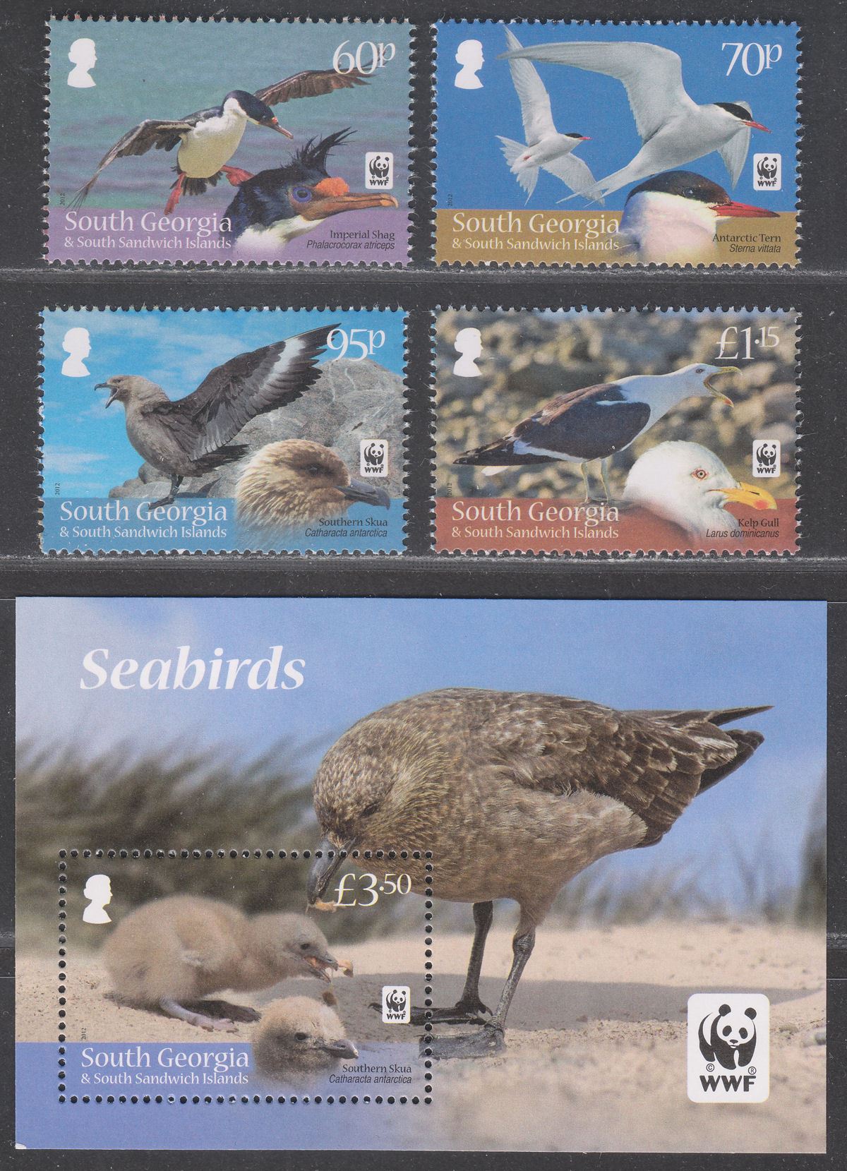 South Georgia + Sth Sandwich Is 2012 WWF Seabirds Set + MS Mint SG556-MS560