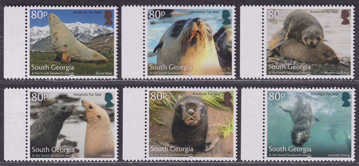 South Georgia + Sth Sandwich Is 2018 Antarctic Fur Seals Set UM Mint SG707-712