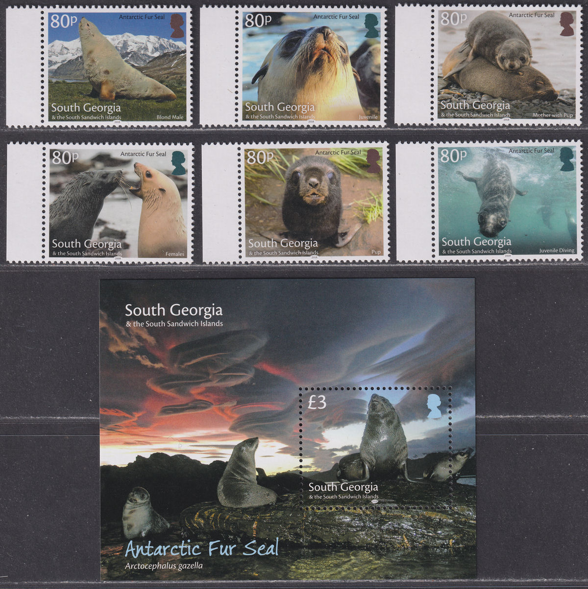 South Georgia + Sth Sandwich Is 2018 Antarctic Fur Seals Set + MS Mint MNH