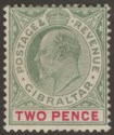 Click for more photos and details Gibraltar 1903 KEVII 2d Grey-Green and Carmine Mint SG48 cat £32 large hinge rem