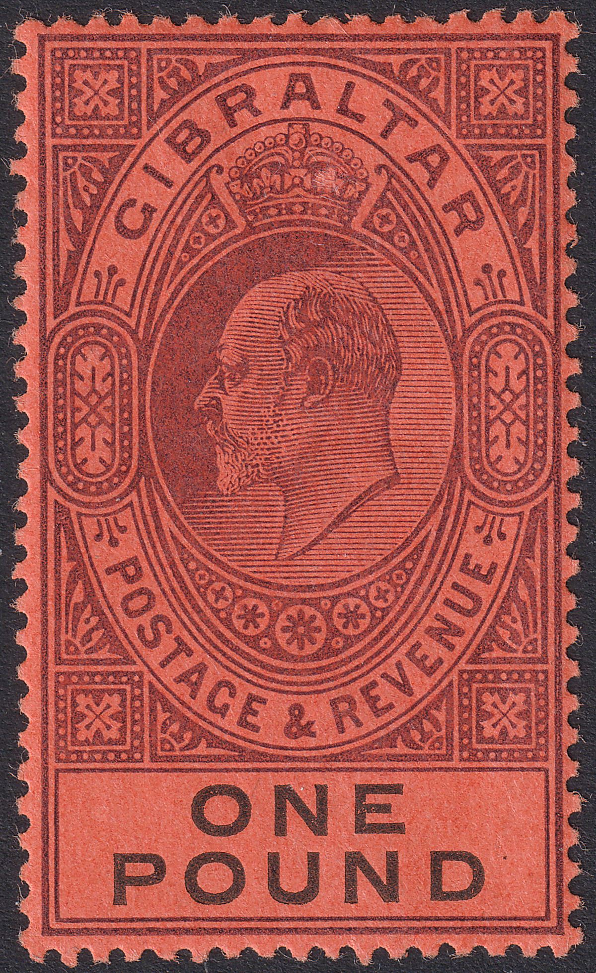 Gibraltar 1903 KEVII £1 Dull Purple and Black on Red Mint SG55 cat £650
