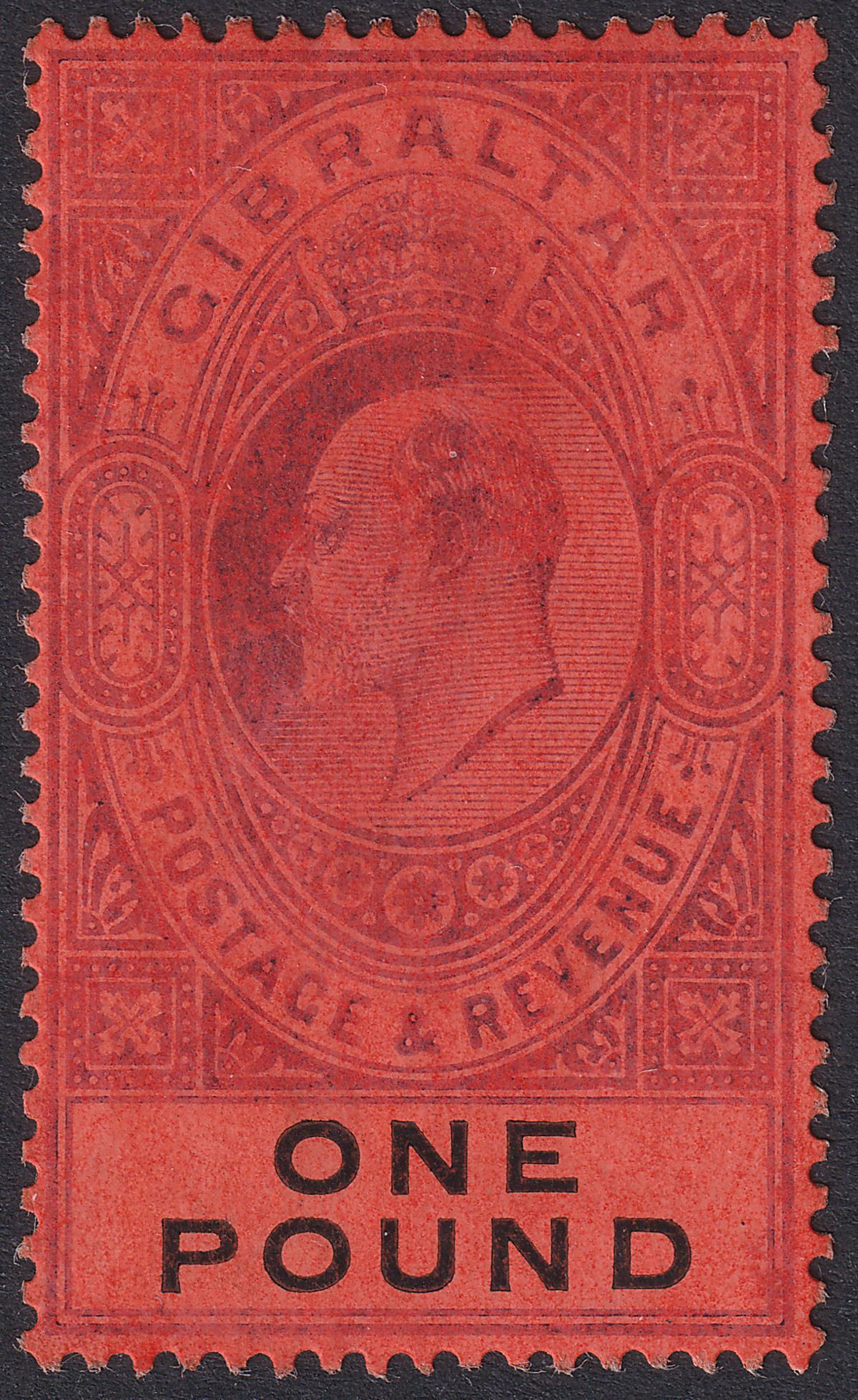 Gibraltar 1908 KEVII £1 Deep Purple and Black on Red Mint SG64 cat £650