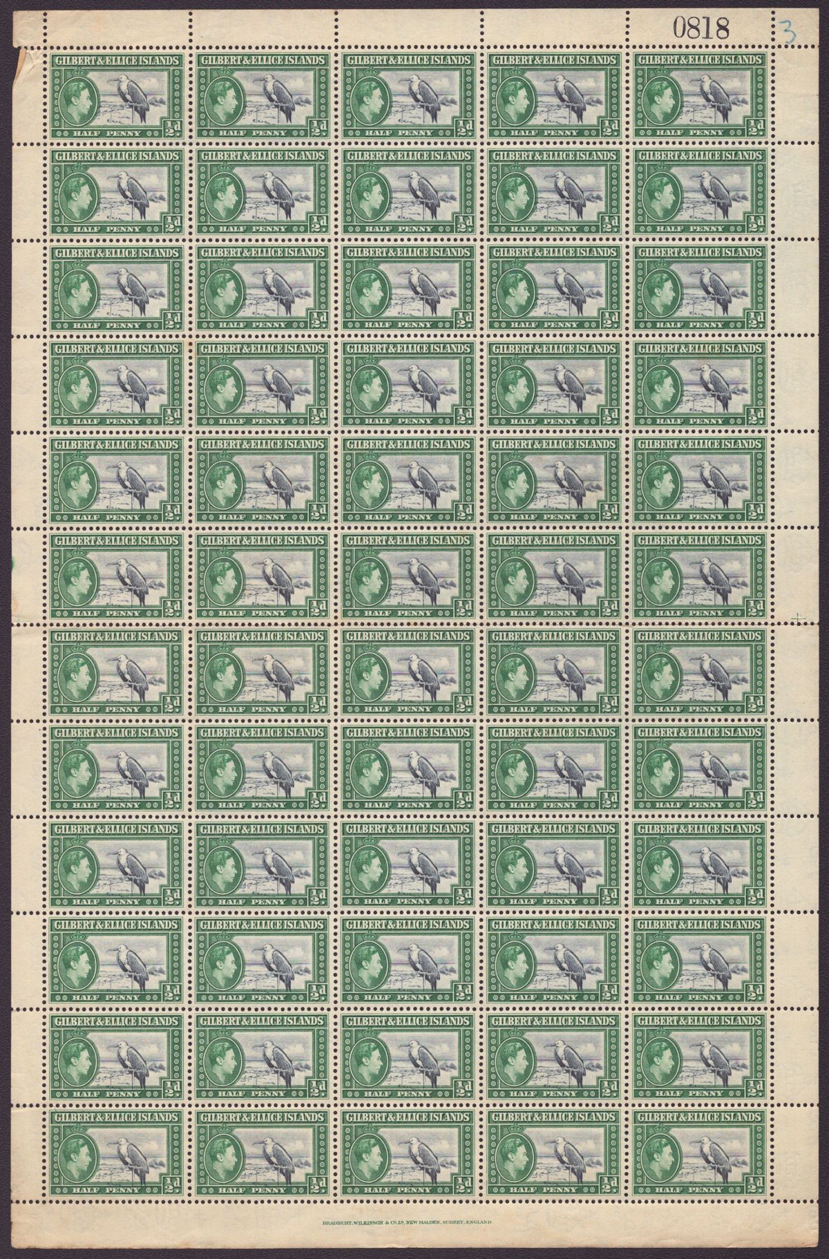 Gilbert Ellice Islands 1939 KGVI Frigatebird ½d Full Sheet of 60 Mint SG43 tones